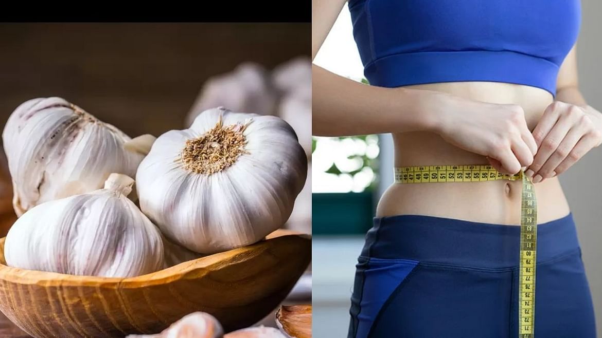                                                             After eating 1 bud of garlic  the stomach will be inside in 7 days  see